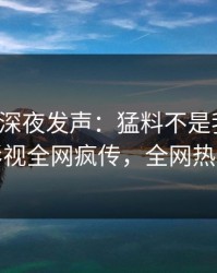 神秘人深夜发声：猛料不是我干的！人人影视全网疯传，全网热议不断