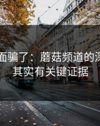别被表面骗了：蘑菇频道的深夜独白其实有关键证据